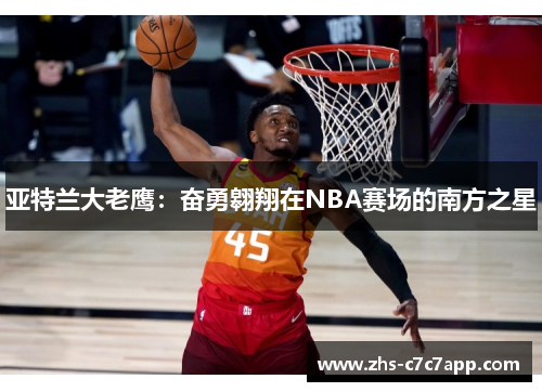 亚特兰大老鹰：奋勇翱翔在NBA赛场的南方之星